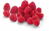 Himbeeren im Netto Marken-Discount Prospekt Himbeeren von Driscoll's im aktuellen Netto Marken-Discount Prospekt für 2,22 €