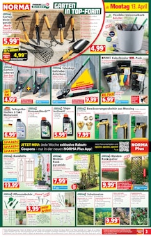 Rasenmäher im Norma Prospekt "Mehr fürs Geld" mit 20 Seiten (Würzburg)