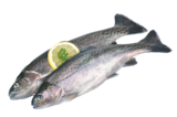 Frische Forelle im EDEKA Prospekt Frische Forelle von im aktuellen EDEKA Prospekt für 1,19 €