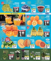 Aktueller EDEKA Prospekt mit Orchidee, "Wir lieben Lebensmittel.", Seite 6