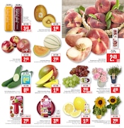 Kochtopf im Marktkauf Prospekt in Göppingen Aktueller Marktkauf Prospekt mit Kochtopf, "Aktuelle Angebote", Seite 7