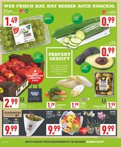 Aktueller Marktkauf Prospekt mit Blumen, "Aktuelle Angebote", Seite 6