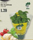 Bio-Basilikum im Angebot bei EDEKA in Hilden Bio-Basilikum Angebote bei EDEKA Hilden für 1,29 €