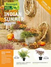 Aktueller ROSENGUT Langerwisch Prospekt mit PC, "INDIAN SUMMER", Seite 1