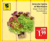 Sächsischer Salatrio mit Wurzelballen im Angebot bei Marktkauf in Leipzig Sächsischer Salatrio mit Wurzelballen Angebote bei Marktkauf Leipzig für 1,99 €