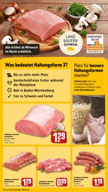 Ähnliche Angebote wie Rollbraten im Prospekt "Dein Markt" auf Seite 11 von REWE in Speyer