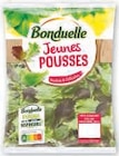 Salade - BONDUELLE en promo chez U Express Salade - BONDUELLE dans le catalogue U Express
