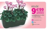 Jardinière de cyclamen "Victoria" ECLOZ - ECLOZ - Delbard à Valence Jardinière de cyclamen "Victoria" ECLOZ - ECLOZ en promo chez Delbard Valence à 9,99 €