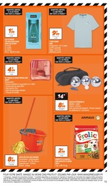 Croquettes Chien Angebote im Prospekt "LES IMMANQUABLES" von Netto Croquettes Chien Angebote im Prospekt "LES IMMANQUABLES" von Netto auf Seite 15
