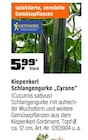 Schlangengurke Cyrano von Kiepenkerl im aktuellen OBI Prospekt für 5,99 €