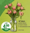 Tulpen Angebote bei V-Markt Memmingen für 4,99 €