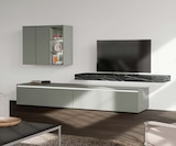 Aktuelles Hängelelement Angebot bei Möbel Martin in Landau (Pfalz) ab 199,00 €