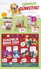 Aktueller combi Prospekt mit Katzenfutter, "Markt - Angebote", Seite 19