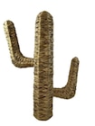 Cactus déco en promo chez Carrefour Nancy à 16,99 €