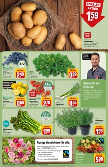 Kopfkissen im REWE Prospekt "Dein Markt" mit 32 Seiten (Ludwigshafen (Rhein))