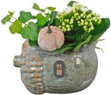 Herbstarrangement »Herbstglück« im Angebot bei REWE in Suhl Herbstarrangement »Herbstglück« Angebote bei REWE Suhl für 10,99 €
