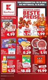 Kaufland Prospekt für Goldbach mit 70 Seiten Kaufland Prospekt für Goldbach: "Hier bin ich richtig", 70 Seiten, 08.10.2026 - 14.10.2026
