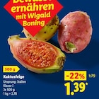 Kaktusfeige bei Lidl im Prospekt "" für 1,39 €