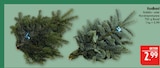 Nobilis Tanne im Angebot bei Marktkauf in Leipzig Nobilis Tanne Angebote bei Marktkauf Leipzig für 2,99 €