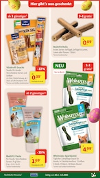 Fressnapf Roller im Prospekt 