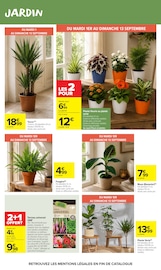 Promos Terreau dans le catalogue "Carrefour market" de Carrefour Market Terreau en promo dans le catalogue Carrefour Market à la page 59