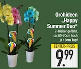 Orchideen Happy Summer Duo von  im aktuellen EDEKA Prospekt für 9,99 €