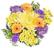 Bunter Strauß mit Chrysanthemen bei Kaufland in München Bunter Strauß mit Chrysanthemen im Angebot bei Kaufland München für 9,99 €