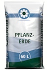 Wreesmann Aurich - PFLANZERDE Angebot im Prospekt PFLANZERDE bei Wreesmann im Aurich Prospekt für 4,44 €