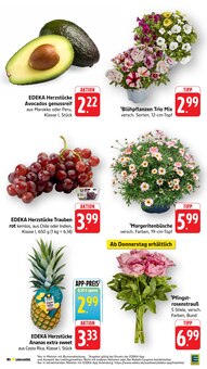 Blumen im E center Prospekt "Aktuelle Angebote" mit 70 Seiten (Heilbronn)