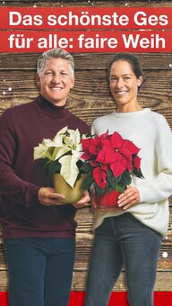 toom Baumarkt Burg Prospekt der aktuellen Woche, gültig von 03.12.2022 bis 09.12.2022 Aktueller toom Baumarkt Burg Prospekt "OH TANNENBAUM!" mit 14 Seiten