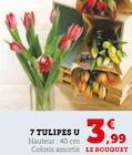 7 Tulipes - U dans le catalogue Hyper U