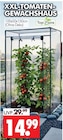 XXL-TOMATEN-GEWÄCHSHAUS Angebote von Top Flora bei Wreesmann Stendal für 14,99 €