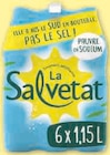 Eau minerale naturelle gazeuse - La Salvetat en promo chez U Express Eau minerale naturelle gazeuse - La Salvetat dans le catalogue U Express