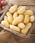 Pomme de terre de consommation à chair ferme - Pommes de Terre de France - Netto à Sète Pomme de terre de consommation à chair ferme - Pommes de Terre de France en promo chez Netto Sète à 1,99 €