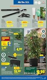 Schere Angebot im aktuellen Lidl Prospekt auf Seite 41