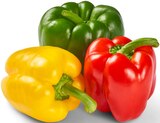 Aktuelles Paprika-Mix Angebot bei Penny in Hannover ab 1,19 €