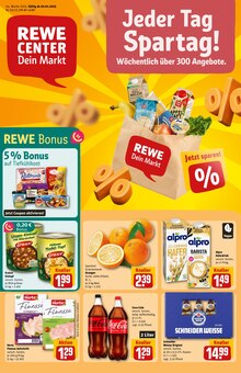 Pizza im REWE Prospekt "Dein Markt" mit 29 Seiten (Ingolstadt)