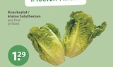 Aktuelles Knacksalat / kleine Salatherzen Angebot bei V-Markt in München ab 1,29 €