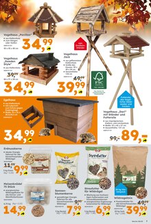 Pavillon im Globus-Baumarkt Prospekt "Immer eine Idee besser" mit 16 Seiten (Reutlingen)