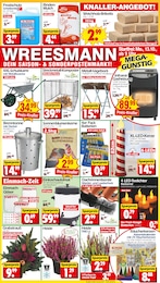 Wreesmann Prospekt für Niedergörsdorf mit 12} Seiten Wreesmann Prospekt für Niedergörsdorf: "DEIN SAISON- & SONDERPOSTENMARKT!", 12 Seiten, 13.10.2025 - 18.10.2025