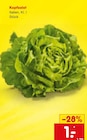 Kopfsalat im Netto Marken-Discount Prospekt Kopfsalat von im aktuellen Netto Marken-Discount Prospekt für 1,00 €