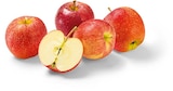 Aktuelles Äpfel rot Angebot bei Netto Marken-Discount in Würzburg ab 1,29 €