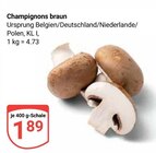 Champignons braun im Angebot bei GLOBUS in Siegen Champignons braun Angebote bei GLOBUS Siegen für 1,89 €