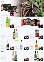 Konsum Cola im Prospekt 