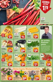 Ähnliche Angebote wie Gurkenpflanze im Prospekt "Dein Markt" auf Seite 9 von REWE in Köln