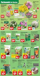 Gartenwerkzeug Angebot & Preis im aktuellen Thomas Philipps Prospekt Gartenwerkzeug Angebot im aktuellen Thomas Philipps Prospekt auf Seite 3