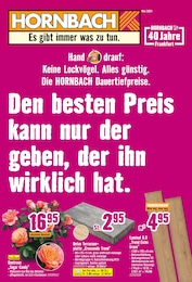 Hornbach Prospekt für Niederdorfelden: "Den besten Preis kann nur der geben, der ihn wirklich hat.", 34 Seiten, 08.05.2024 - 05.06.2024