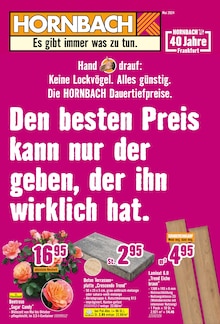 Hornbach Prospekt Offenbach (Main) "Den besten Preis kann nur der geben, der ihn wirklich hat." mit 34 Seiten