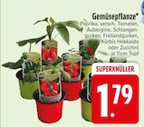 Gemüsepflanze im EDEKA Prospekt Gemüsepflanze im aktuellen EDEKA Prospekt für 1,79 €