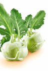Kohlrabi Angebote bei Netto Marken-Discount Regensburg für 1,00 €